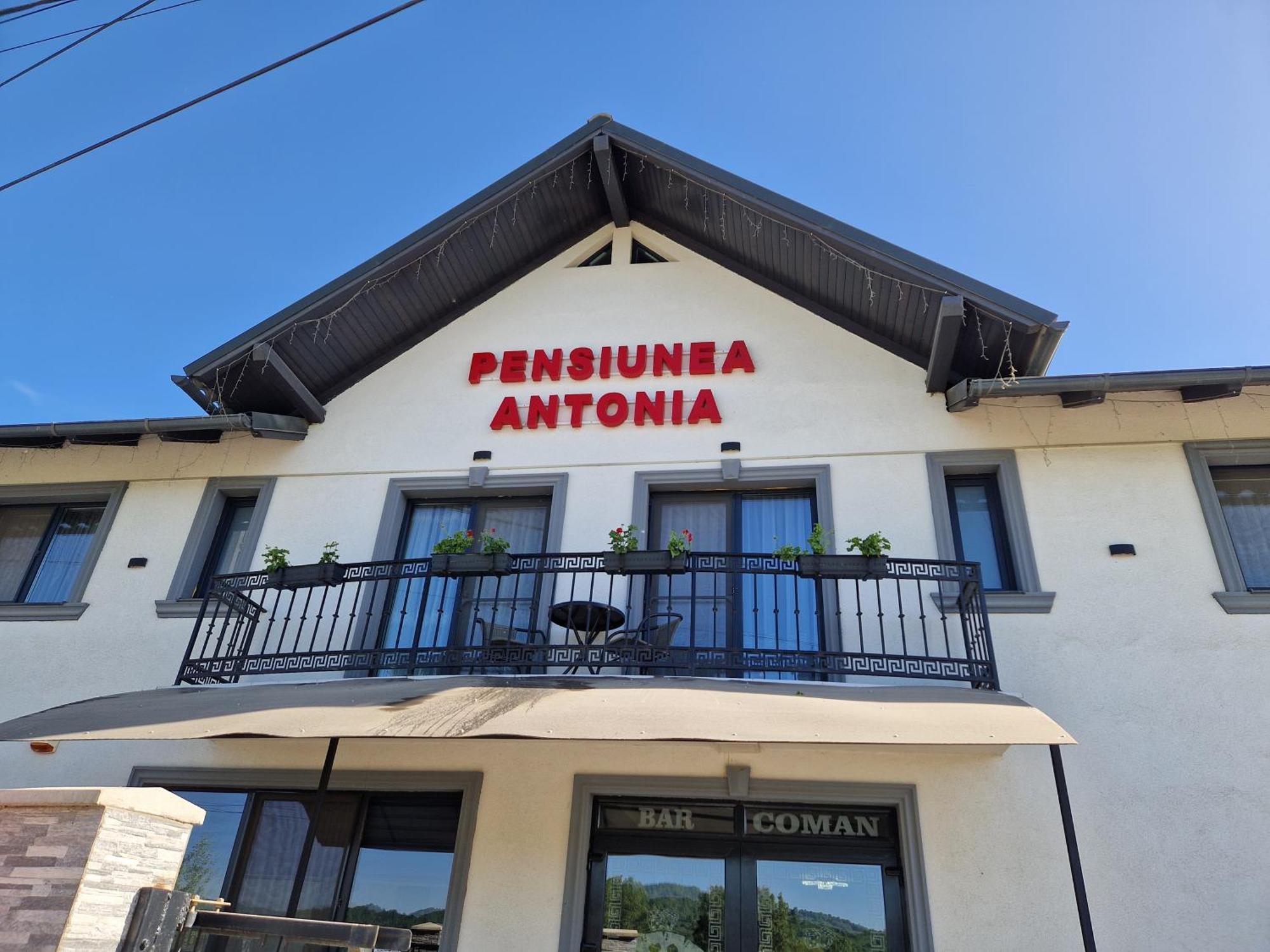 Pensiunea Antonia Sighetu Marmaţiei Habitación foto