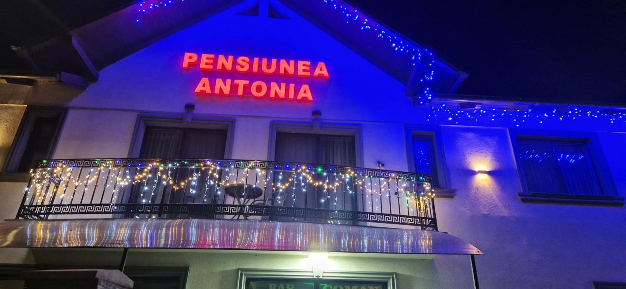 Pensiunea Antonia Sighetu Marmaţiei Exterior foto